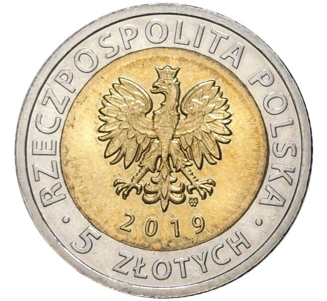 Монета 5 злотых 2019 года Польша «Открой для себя Польшу — Курган освобождения» (Артикул M2-55080)