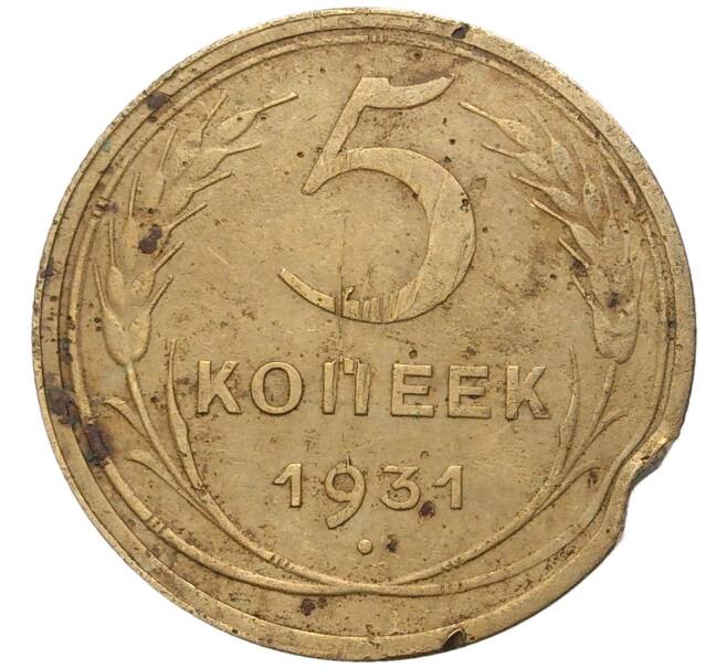 Монета 5 копеек 1931 года (Артикул K27-7286) — Фото №1