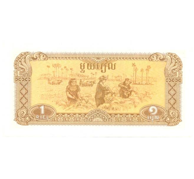 Банкнота 1 риэль 1979 года Камбоджа (Артикул: B2-0405) — Фото №2