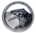Монета 1 доллар 2022 года Австралия «Австралийский клинохвостый орел» (Артикул M2-55456)
