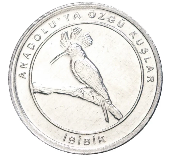 Монета 1 куруш 2020 года Турция «Птицы Анатолии — Удод» (Артикул K27-7429)
