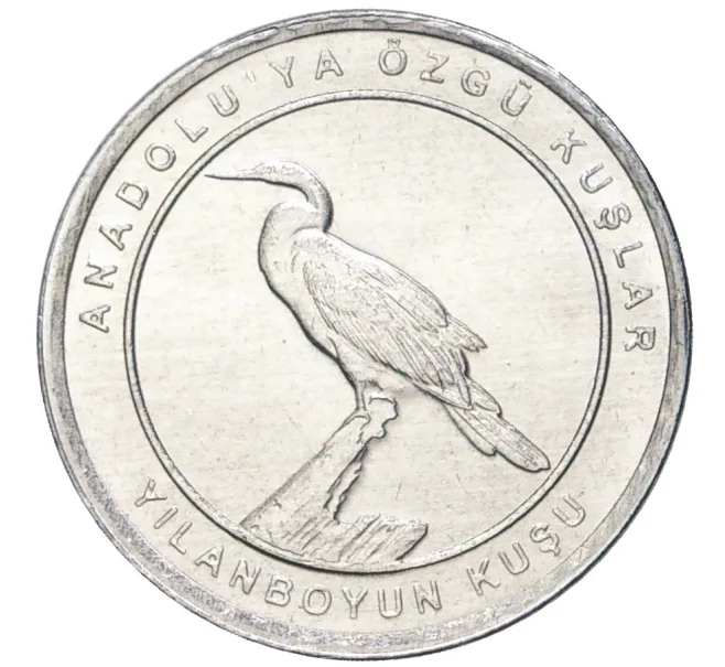 Монета 1 куруш 2020 года Турция «Птицы Анатолии — Африканская змеешейка» (Артикул K27-7430)
