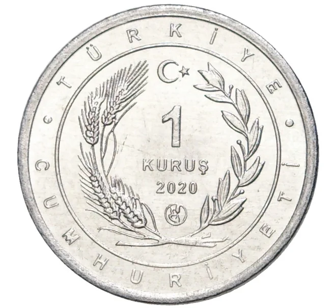 Монета 1 куруш 2020 года Турция «Птицы Анатолии — Африканская змеешейка» (Артикул K27-7430)