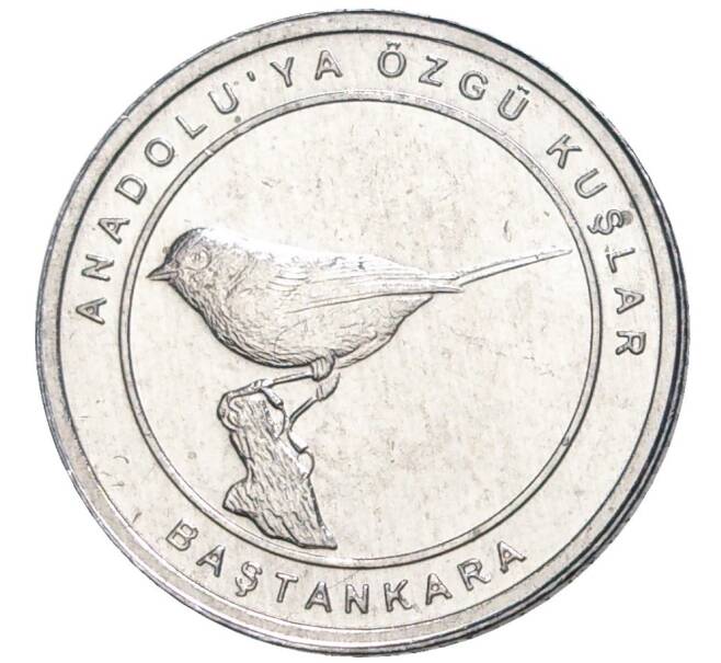 1 куруш 2020 года Турция «Птицы Анатолии — Синица» (Артикул K27-7431)