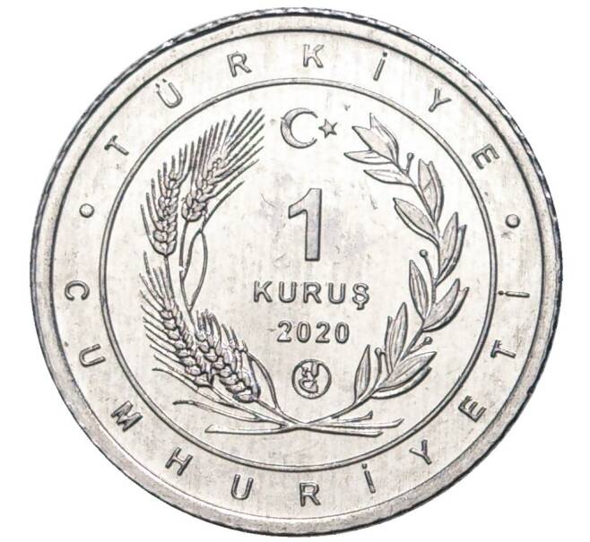 1 куруш 2020 года Турция «Птицы Анатолии — Синица» (Артикул K27-7431)