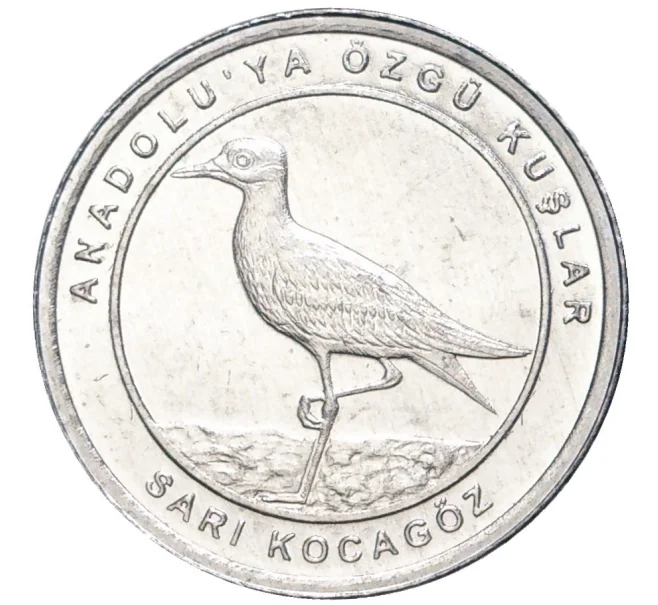 Монета 1 куруш 2020 года Турция «Птицы Анатолии — Авдотка» (Артикул K27-7433)