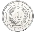 Монета 1 куруш 2020 года Турция «Птицы Анатолии — Авдотка» (Артикул K27-7433)