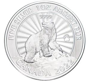 5 долларов 2022 года Канада «Белый медведь»