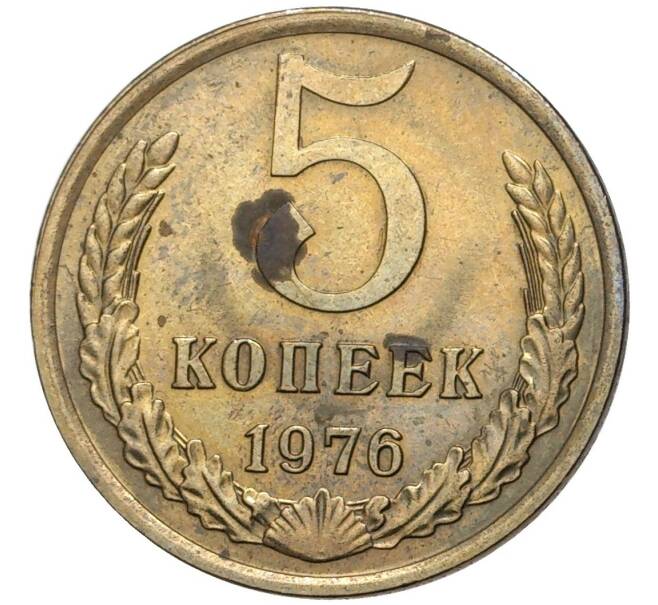 Монета 5 копеек 1976 года (Артикул K11-4332)