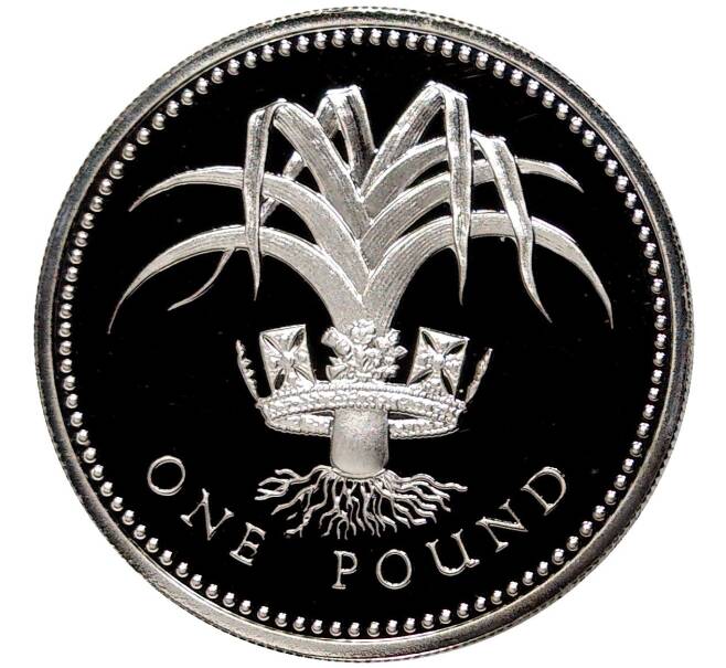 Монета 1 фунт 1985 года Великобритания (Артикул M2-55516)