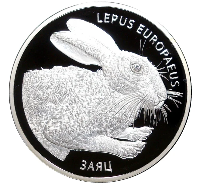 Монета 20 рублей 2014 года Белоруссия «Заяц» (Артикул K27-7538)