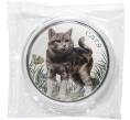 Монета 50 центов 2022 года Фиджи «Кошки» (Цветное покрытие) (Артикул M2-55901)