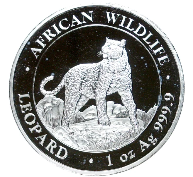 Монета 100 шиллингов 2022 года Сомали «Африканская дикая природа — Леопард» (Артикул M2-55970)