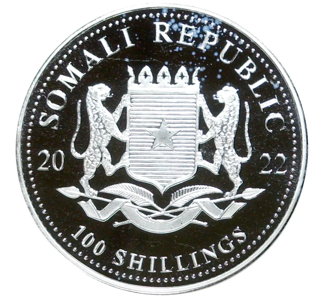 Монета 100 шиллингов 2022 года Сомали «Африканская дикая природа — Леопард» (Артикул M2-55971)