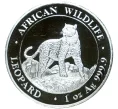 Монета 100 шиллингов 2022 года Сомали «Африканская дикая природа — Леопард» (Артикул M2-55972)