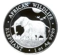 Монета 100 шиллингов 2022 года Сомали «Африканская дикая природа — Африканский слон» (Артикул M2-55973)