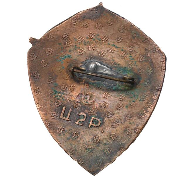 Знак «30 лет Киевской спецшколе ВВС — 5-й выпуск» (Артикул: K11-5750) — Фото №2