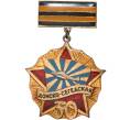 Знак «30 лет Донско-Сегедской авиационной дивизии» (Артикул K11-5788)