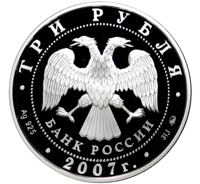 Монета 3 рубля 2007 года ММД «Лунный календарь — Год Кабана» (Артикул M1-45862)