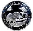 Монета 100 шиллингов 2019 года Сомали «Слон» (Артикул M2-56393)