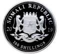 Монета 100 шиллингов 2019 года Сомали «Слон» (Артикул M2-56393)