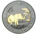 Монета 100 шиллингов 2019 года Сомали «Африканский слон» (Покрытие из рутения + позолота) (Артикул M2-56454)