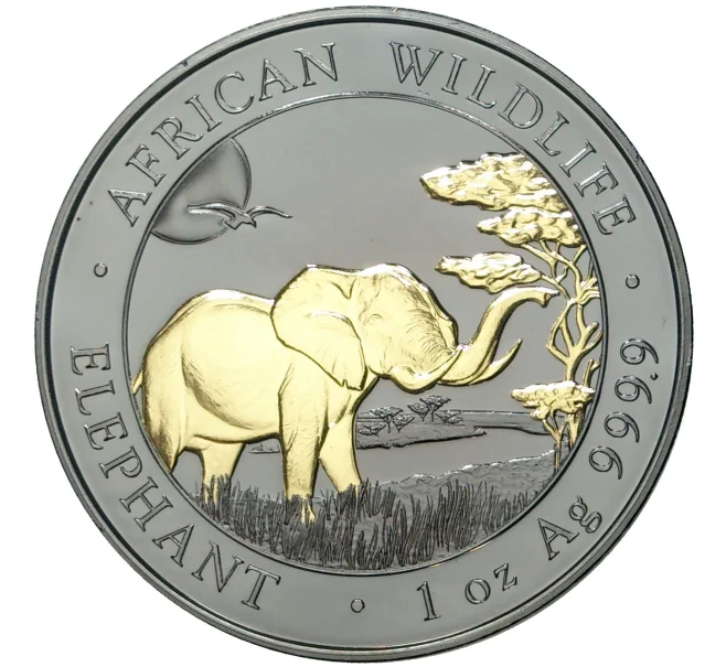 Монета 100 шиллингов 2019 года Сомали «Африканский слон» (Покрытие из рутения + позолота) (Артикул M2-56454)