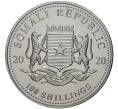 Монета 100 шиллингов 2020 года Сомали «Африканский слон» (Покрытие из рутения + позолота) (Артикул M2-56455)