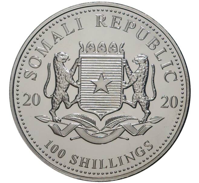 Монета 100 шиллингов 2020 года Сомали «Африканский слон» (Покрытие из рутения + позолота) (Артикул M2-56455)