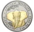 Монета 100 шиллингов 2021 года Сомали «Африканский слон» (Покрытие из рутения + позолота) (Артикул M2-56461)