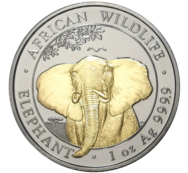 Монета 100 шиллингов 2021 года Сомали «Африканский слон» (Покрытие из рутения + позолота) (Артикул M2-56461)