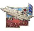 Знак «Войска ПВО страны» (Артикул K11-70861)