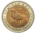 Монета 10 рублей 1992 года ЛМД «Красная книга — Краснозобая казарка» (Артикул M1-46938)