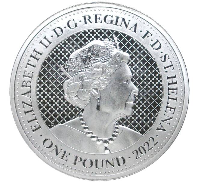 Монета 1 фунт 2022 года Остров Святой Елены «Дикая природа Индии — Носорог» (Артикул M2-57397)
