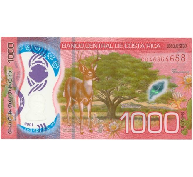 Банкнота 1000 колонов 2019 года Коста-Рика (Артикул: B2-9771) — Фото №2