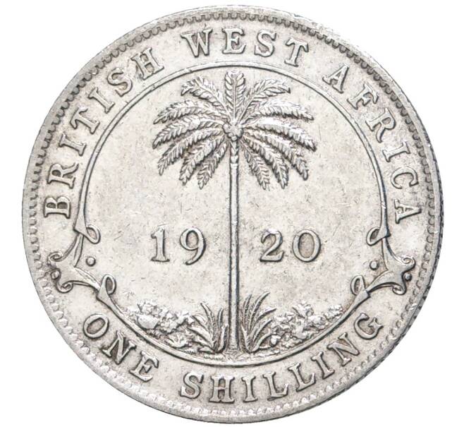 Монета 1 шиллинг 1920 года Британская Западная Африка (Артикул K11-73696)