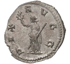 Антониниан 251-253 года Римская Империя — Волузиан