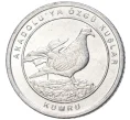 Монета 1 куруш 2020 года Турция «Птицы Анатолии — Кольчатая горлица» (Артикул K27-80762)