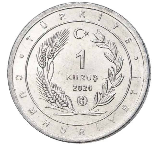 Монета 1 куруш 2020 года Турция «Птицы Анатолии — Африканская змеешейка» (Артикул K27-80763)