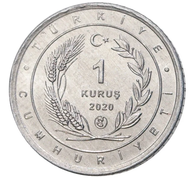 Монета 1 куруш 2020 года Турция «Птицы Анатолии — Колпица» (Артикул K27-80764)