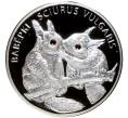 Монета 20 рублей 2009 года Белоруссия «Белки» (Артикул K11-75251)