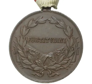 Бронзовая медаль 1917-1918 года «За храбрость» Австрия — Карл I