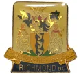 Значок «США — Ричмонд» (Артикул K11-77179)