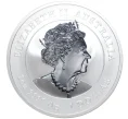 Монета 1 доллар 2023 года Австралия «Лунный календарь — Год кролика» (Артикул M2-58207)