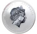 Монета 50 центов 2011 года Австралия «Китайский гороскоп — Год кролика» (Артикул K27-81242)