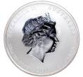 Монета 50 центов 2011 года Австралия «Китайский гороскоп — Год кролика» (Артикул K27-81249)