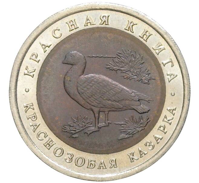 Монета 10 рублей 1992 года ЛМД «Красная книга — Краснозобая казарка» (Артикул M1-48704)