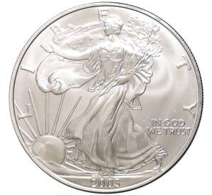 1 доллар 2003 года США «Шагающая Свобода»