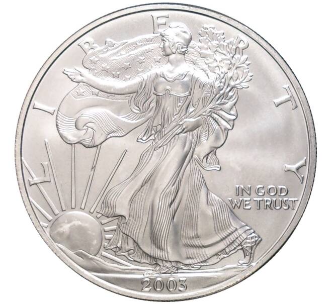 Монета 1 доллар 2003 года США «Шагающая Свобода» (Артикул M2-58834)