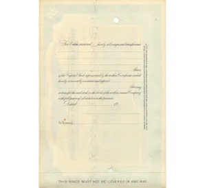 Облигация (сертификат на 100 акций) 1929 года США